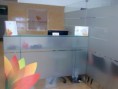 /album/novos-trabalhos/imagem0098-jpg/
